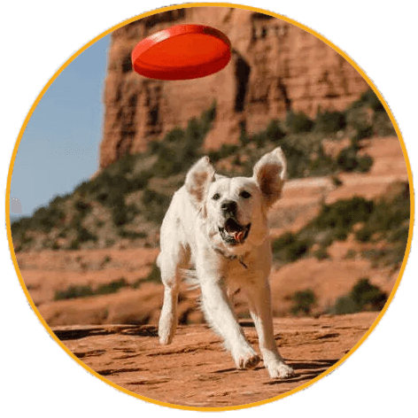 Hračka pre psa Ruffwear, Camp Flyer™