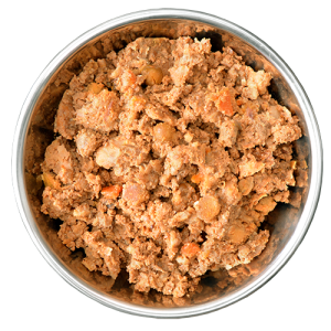 benevoduoveganpetfoodbowl