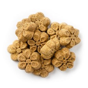 healthy_dog_treats