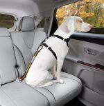 bezpecnostnyautopasprepsasupinacimmechanizmomkurgodirecttoseatbelttether