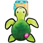 turtle_l_1