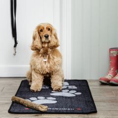 stop_muddy_paws_xl_grey