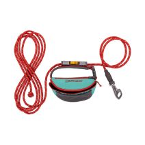 4041hitchhikerleashauroratealrope