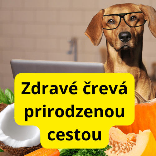 Prírodné odčervenie psa: 7 ingrediencií, ktoré podporujú zdravé črevá u psov
