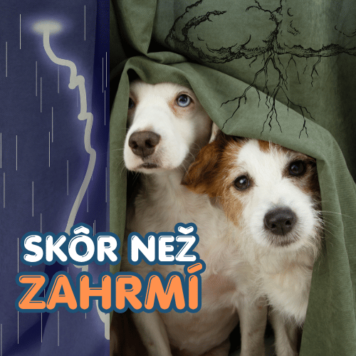 Skôr než zahrmí..