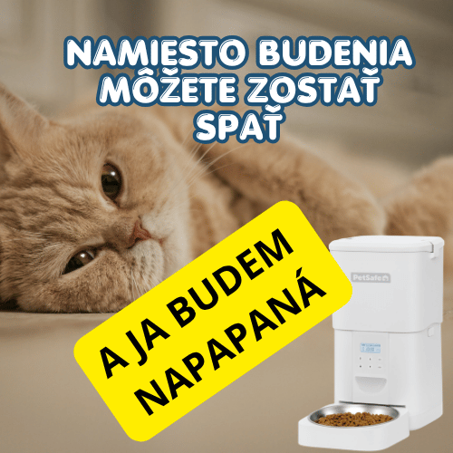 Mačka vás budí skoro ráno? Automatické kŕmenie môže pomôcť