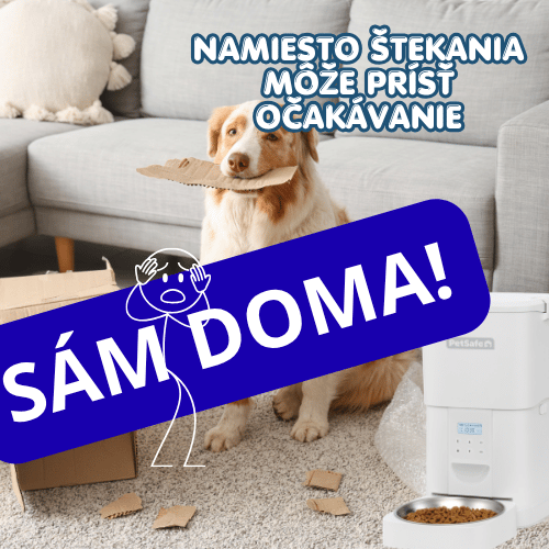 Prečo pes nezvláda zostať doma sám? 