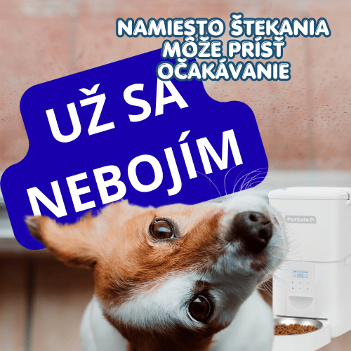 Prečo sa pes bojí búrky a petárd? 