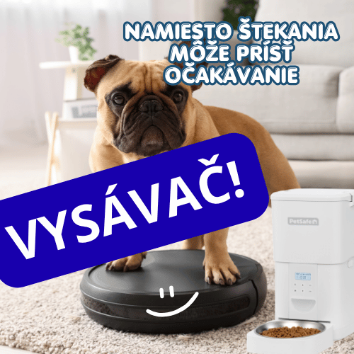 Prečo sa pes bojí vysávača?