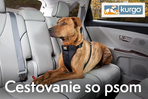 cestovanieimage