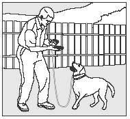 vycvik psa majitelom