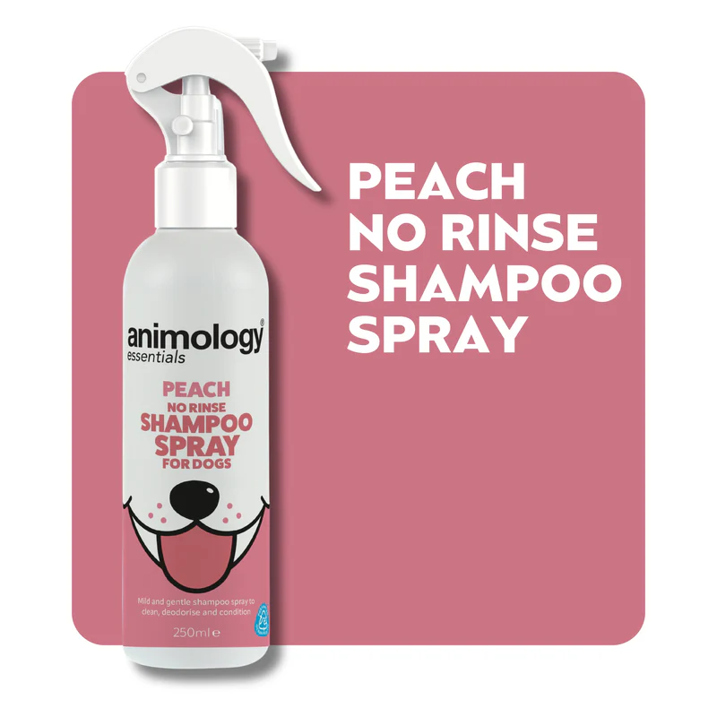 Animology Essentials Peach No Rinse bezoplachový šampón s broskyňovou vôňou 