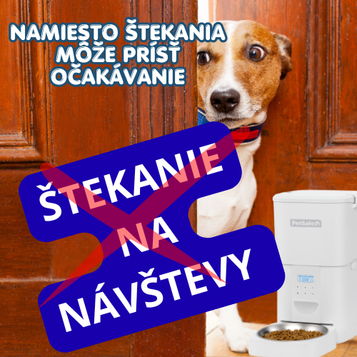 Prečo pes šteká na návštevy a ako mu pomôcť?