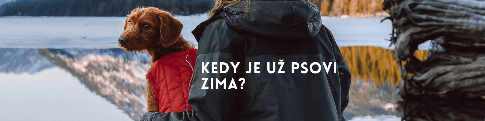 Oblečenie pre psa