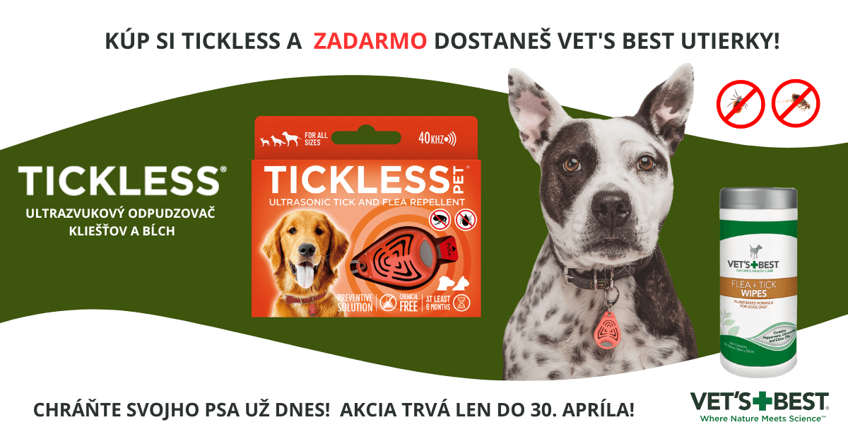 Beco miska