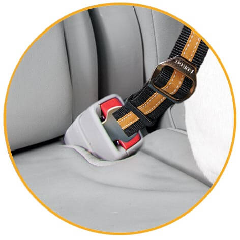 Bezpečnostný autopás pre psa s upínacím mechanizmom Kurgo Direct to Seatbelt Tether