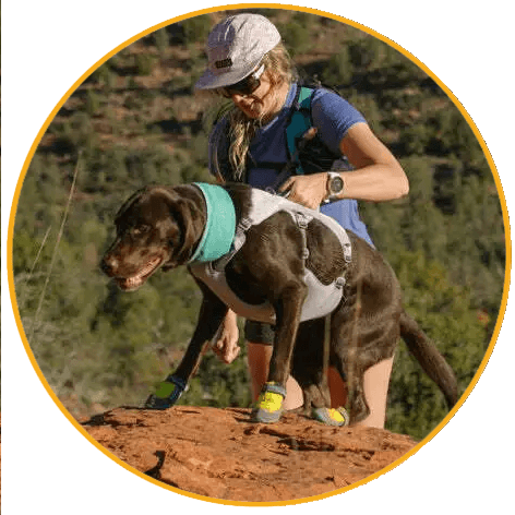 Postroj pre psy Ruffwear Swamp Cooler™