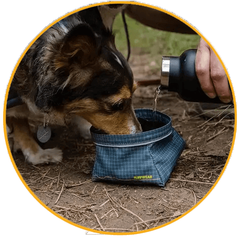 Miska pre psa Ruffwear Great Basin™