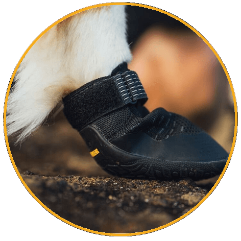 Vodítko pre psy Roamer Crag™ Dog Leash Outdoorová obuv Ruffwear Ridgeline™ Shoes
