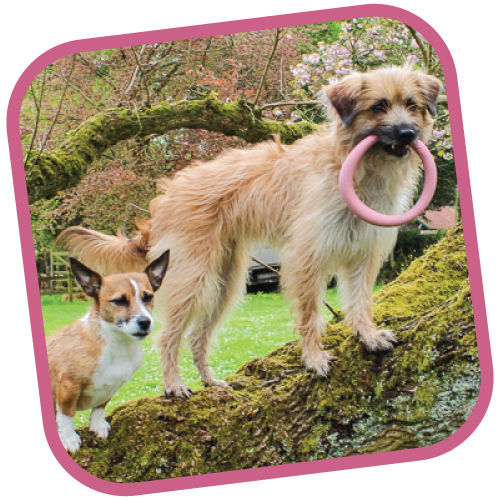 FETCH_HOOP_SHOP_WEB_2